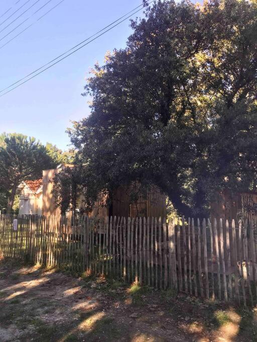 Ma Cabane Sous Les Arbres Soulac-sur-Mer Exteriér fotografie