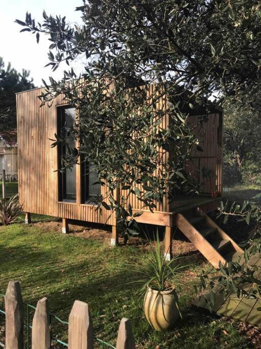 Ma Cabane Sous Les Arbres Soulac-sur-Mer Exteriér fotografie